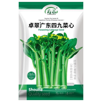 寿禾卓翠广东四九菜心种子蔬菜种籽20g孑菜种菜籽菜苔四季青菜