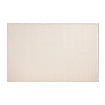 No-maintenance carpet living room waterproof anti-fouling no-wash wipeable light luxury high-end cream style sofa coffee table blanket 1 piece