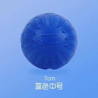 Синджи хочет пенистого мяча (синий) м