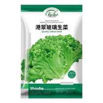 Shouhe Gangcui glass lettuce seeds 10g seeds vegetable seeds rapeseed balcony four seasons planting vegetable seeds