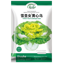 寿禾雪圣女黄心乌种子蔬菜种籽10g孑菜种菜籽乌塌菜四季白菜青菜