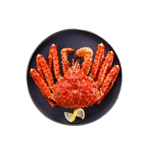 Repas rempli de crabe commun cuit au Chili crabe empereur crabe 800-1000g uniquement la robe de boîte cadeau de crabe des fruits de mer