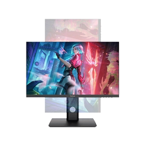 GenLove Monitor 23 8-inch 75Hz vertical screen secondary screen office programming lifting and rotating G24L21S