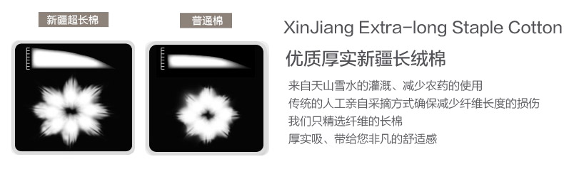 Body CHERISH LIFE USB1504, luxueux - Ref 666873 Image 15