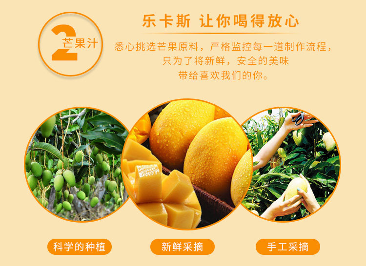 马来西亚进口 乐卡斯 0脂肪芒果汁饮料 500ml*4瓶 图4
