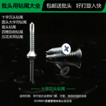 Sunken head Huashi pan head drill tail screw dovetail nail scraping drill tail embossed clamp ear drill national standard