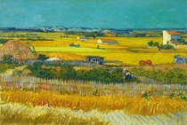 Van Gogh field 500 pieces of wooden puzzle domestic adult imported quality