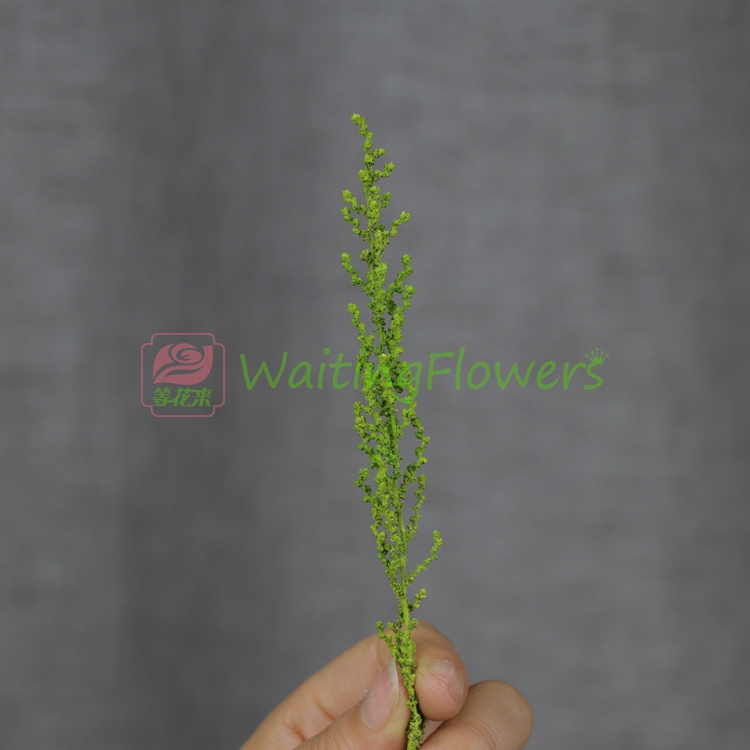 鞠 草草 01760 Trang trại đất Nhật Bản Hoa nhập khẩu Bộ dụng cụ DIY Mũ cô dâu - Phụ kiện tóc kẹp nơ