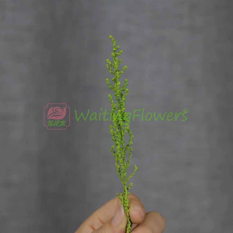 鞠 草草 01760 Trang trại đất Nhật Bản Hoa nhập khẩu Bộ dụng cụ DIY Mũ cô dâu - Phụ kiện tóc kẹp tóc hàn quốc cho bé