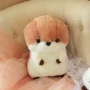 Bán yếm mới bán chạy nhất 濑 doll Búp bê PP phổ biến chưa quyết định Đồ chơi vải sang trọng KCM054KG40 đồ nhồi bông đẹp