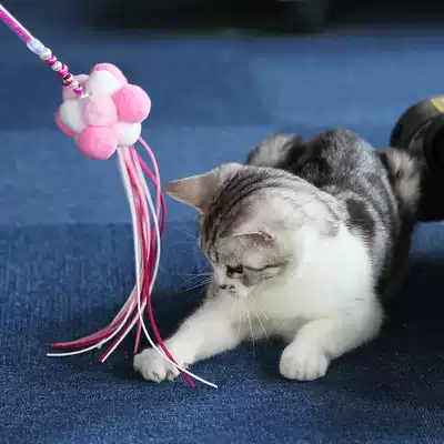 Cat Toys Fairy Cat Sticks Feathers Cat Tells Bells Fighting Cat Kitten Toys Cat Supplies