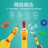 Кошки -игрушки для кошек, измельчение зубов, дразнящие кошачьи палочки, кричащая курица, игрушка для кошек, кошка, кошачьи мяты продуктов