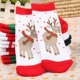 Mùa thu và mùa đông terry dày cotton trẻ em vớ Giáng sinh mới vớ bé phim hoạt hình vớ vớ