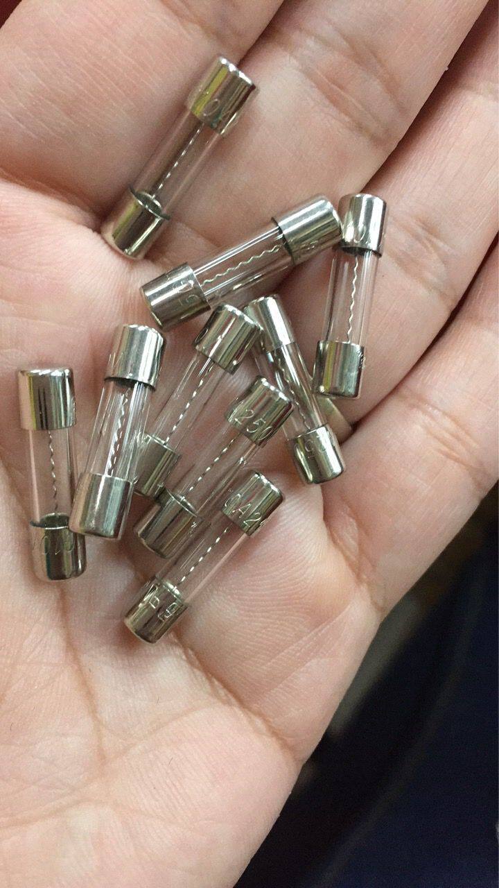 (Huasheng) 5G T10A 250V slow-break slow-melt time-lapse 5X20 no-footed curved silk glass fuse tube