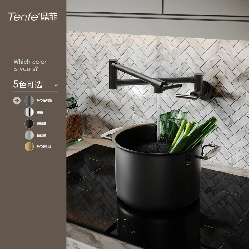 Dingfei Kitchen Folding Faucet, Wall-Mounted Single Cold Retractable Rotating Water Purifier Faucet