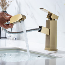 Bathroom pull-out surface basin tap toilet washroom washbasin Washbasin Hotel Home Hot and cold gold mesh red tap