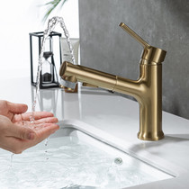 Modern draw type basin faucet toilet full copper telescopic basin wash basin washbasin golden faucet can wash your hair