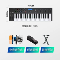 49 ключ черный+педаль+x -rack+2t Массивный источник звука