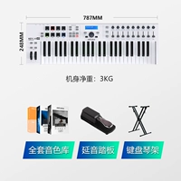 49 ключ белый+педаль+x -rack+2t Массивный источник звука