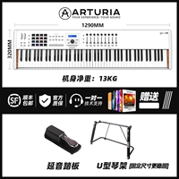 SF Flashes-Second Generation White+Pedal+U-образная фортепианная рама