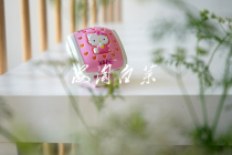 Japanese VAPE 5 times 120 hours HELLO KITTY portable electronic mosquito repellent anti mosquito bracelet