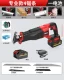 10 Power Core Professional Model