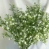 Mô phỏng bó hoa gypsophila, hoa giả, hoa nhựa, phòng khách phòng ngủ, bàn ăn, tủ tivi, phòng cưới, bình hoa, cắm hoa trang trí - Hoa nhân tạo / Cây / Trái cây