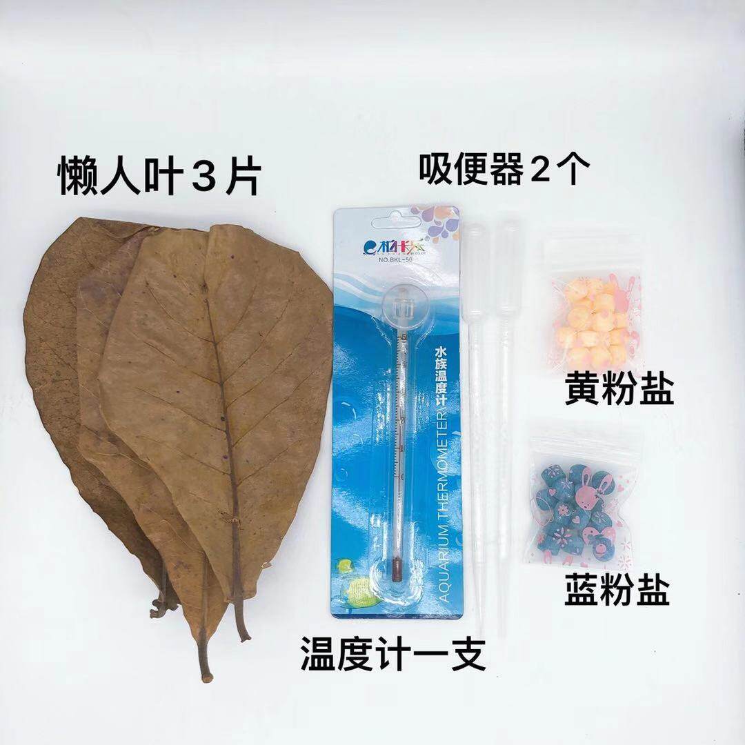 Thai fighting fish novice set lazy leaf olive leaf suction toilet thermometer feed blue salt