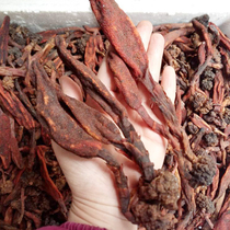 Rejuvenation grass wild Dingtianzhu male wine nourishing Cynomorium Yunnan not old grass cistanche Chinese herbal medicine 500g