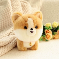 Корги