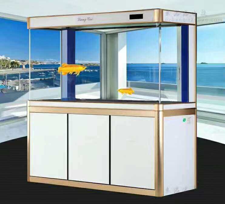 AN Fish Tank Aquarium Large Red Dragon Vat Eco Fish Tank Small Bender tank Living room Feng Shui Bottom Filter Eco-free