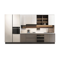 Sofia cabinet custom kitchen integrated cabinet stove cabinet integrated quartz stone countertop open decoration Nilan