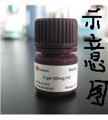 化学试剂 藏红T 沙黄；番红花红T BS25g