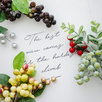 Simulation berry fruit photo props photography decoration pendulum ornaments gourmet Net red hand ornaments shooting background