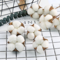 Natural cotton photo shooting ornaments dried flowers DIY dried flowers decorative ornaments Bouquet real flowers ins photo props