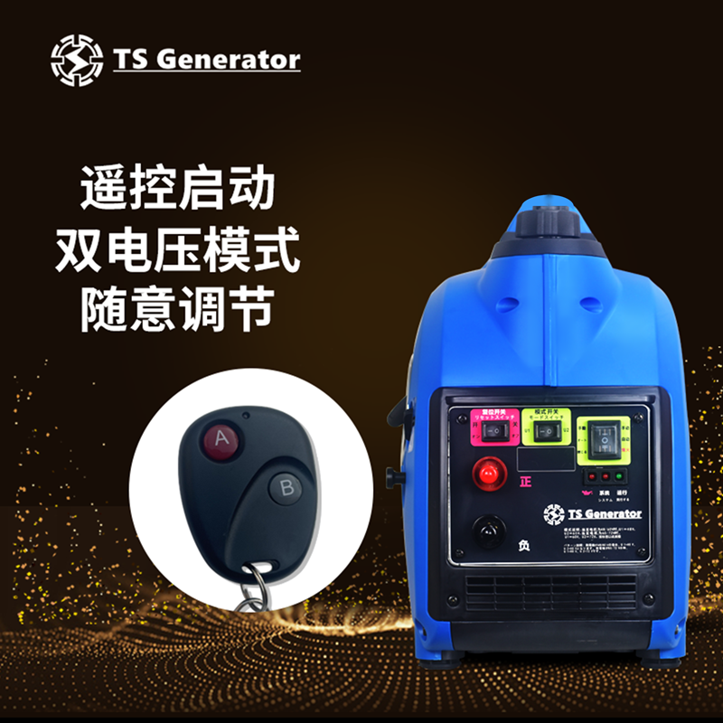 Export TS high performance electric vehicle charging treasure silent installation-free 48V60V72V portable range extender generator