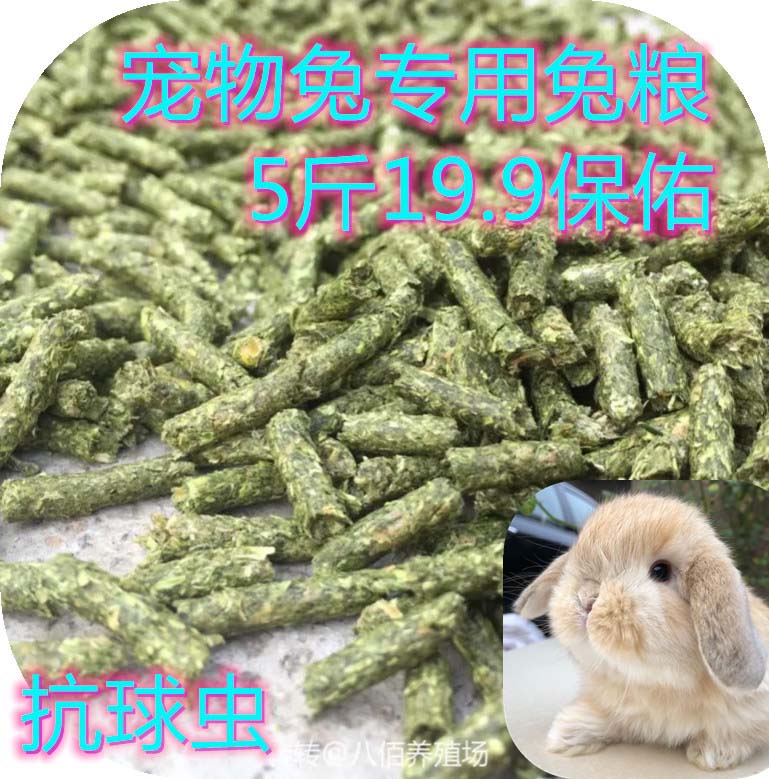 This year's new clover grass produced pet Rabbit rabbit grain nutrition full 5 catties and insect repellent