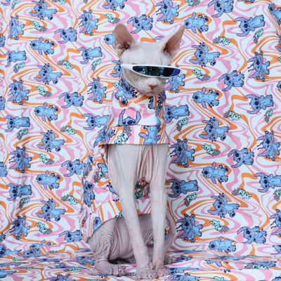 Sweet and spicy cartoon printed dress, hairless cat pet clothing, fashionable pure cotton Lycra fabric, anti-slip design