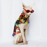 Индивидуальная сафакс безволоса