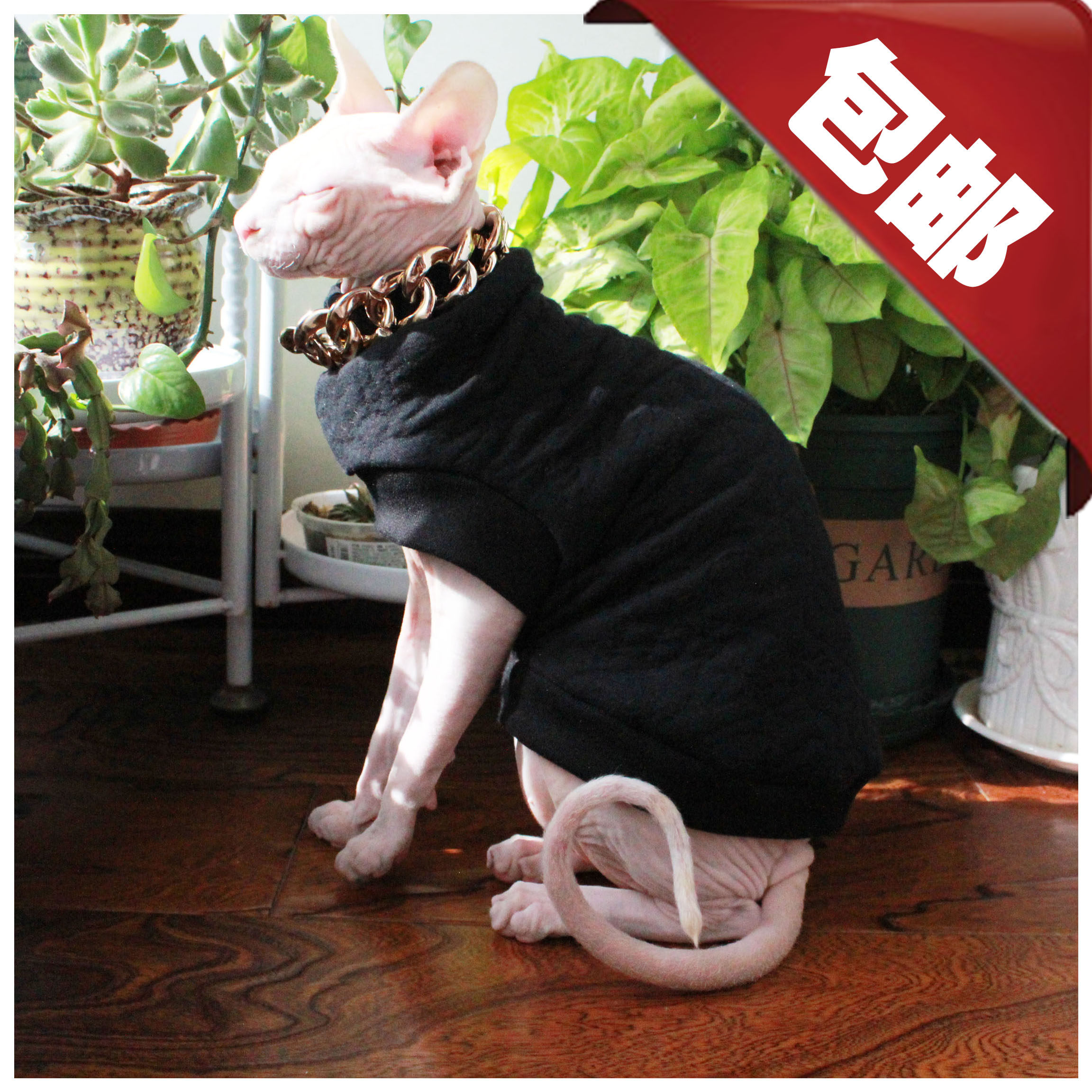 Custom hairless cat clothes Pet spring and autumn and winter quilted jacket(DAPAN) Black padded Sphinx thickened