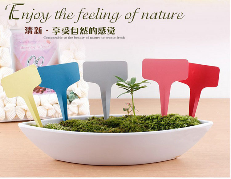 PVC nhựa không thấm nước hoa mọng nước rau hoa T-label chèn mặt đất đăng nguồn cung cấp vườn nhãn thịt vòi xịt tưới cây