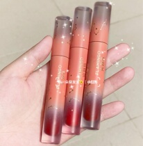 Flarebird Starry Sky Lip Glazed Lip Gloss female Affordable Silk Suede Fog Face Matt Not Easy To Fall