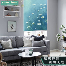 McCamey roller blinds Free hole installation custom kitchen bathroom office lifting roller-pull shading curtain