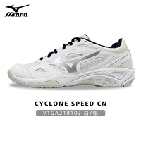 V1GA218103 Белый/Серебро