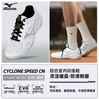 103-серебра [SF Express бесплатная доставка]