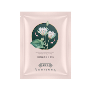 李佳埼卸妆湿巾一次性深层清洁眼唇脸部温和无刺激正品便携单片装