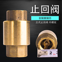 Check valve steam generator electric boiler water-stop valve check valve only does not get into the valve check valve 4 points