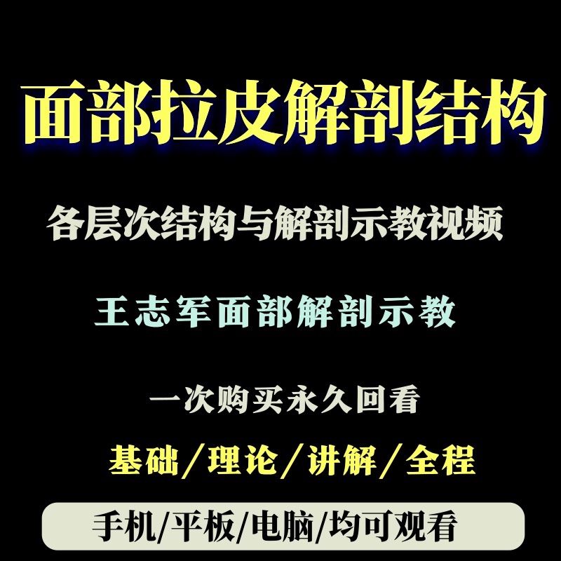 Wang Zhijun Facial Structure And Various Levels Anatomical Resolution Facial Anatomical Tutorial Rapi Anatomical Level Reference