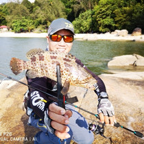 Fishing also exports Japan Luya Pole straight shank root fishing rod L Gun Handle Ultra Soft 1 82 1 m Horse Rod UL Sea Fishing Rod