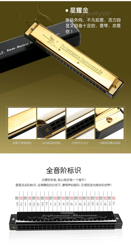 Swan Harmonica trẻ em mới bắt đầu nhập cảnh chuyên nghiệp dân số cơ quan 24 học sinh đa âm với các nhạc cụ điều chỉnh c - Nhạc cụ phương Tây